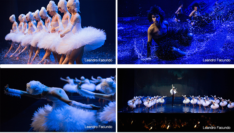 SWAN LAKE ON WATER 東京国際フォーラム 8月10日昼公演 | www