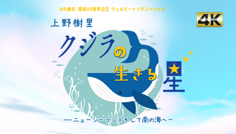 BS朝日開局２５周年記念 ウェルビーイングスペシャル　上野樹里 クジラの生きる星 －ニュージーランド そして南の海へ－