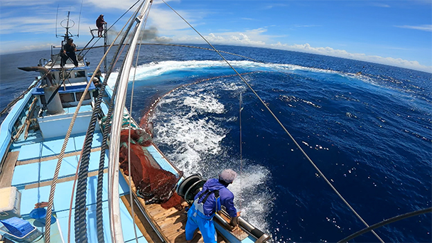 魚が食べたい！－地魚さがして3000港－