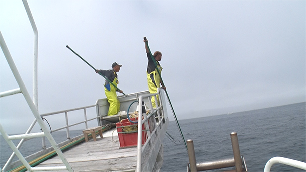 魚が食べたい！＃１９２　宮城県気仙沼小鯖漁港<br>（メカジキ、ホタテ）