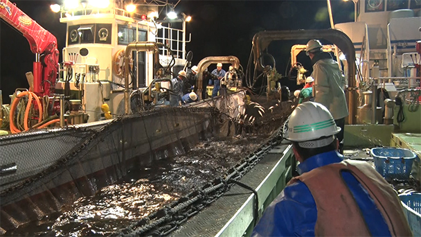 魚が食べたい！＃２１１　岩手県宮古市宮古港<br>（マダラ、マダコ、カキ）