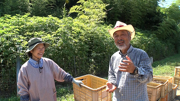 バトンタッチ SDGsはじめてます