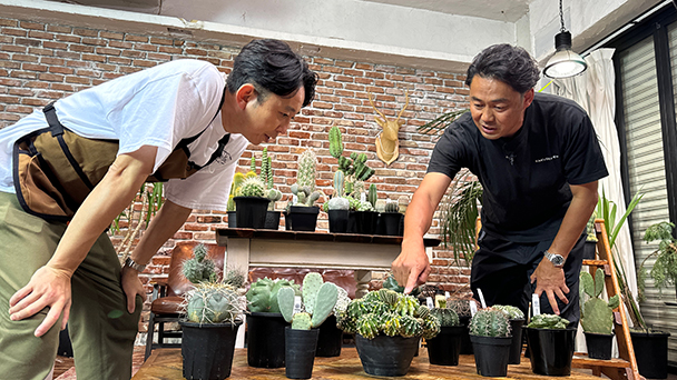 夢が咲く 有吉園芸 ～Road to start a garden shop～