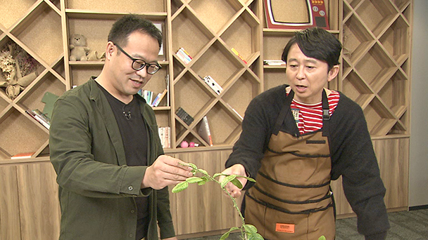 助けて植物のお医者さん！グリーンドクター