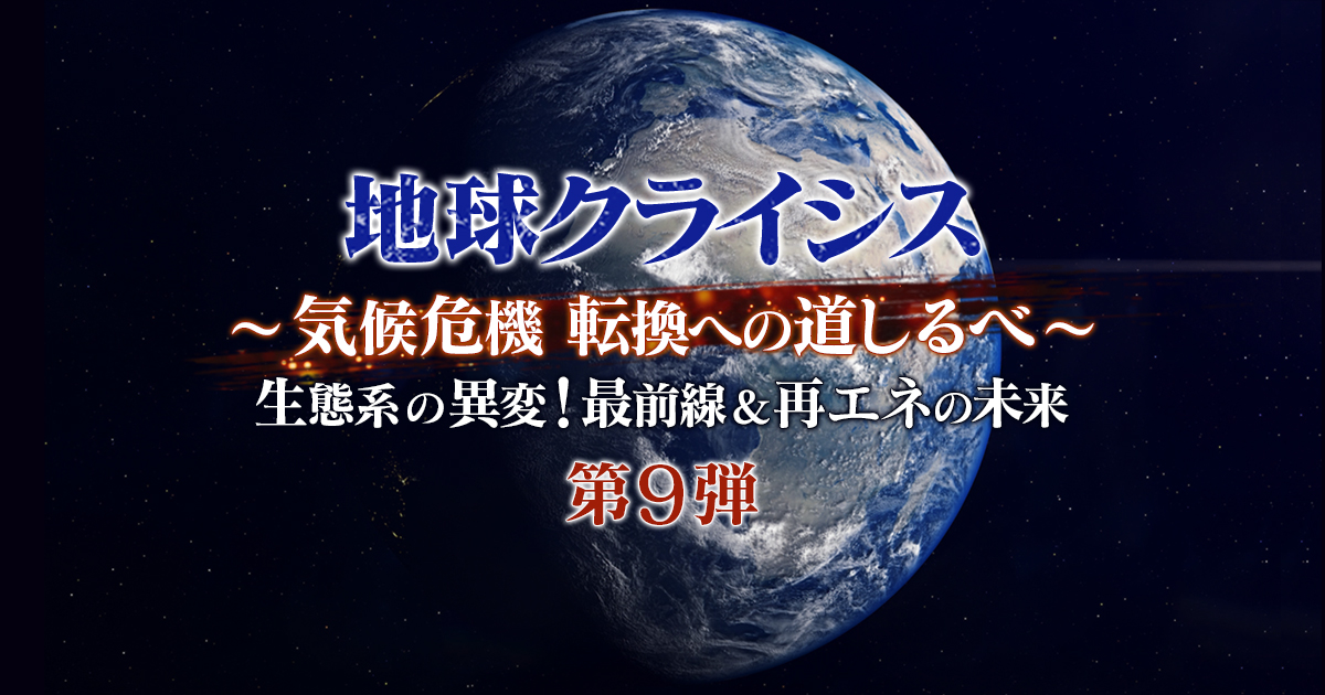 地球クライシス ～気候危機 転換への道しるべ～ 生態系の異変！最前線